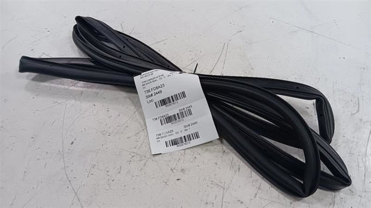Ford Escape On Door Seal Rubber Right Passenger Rear Back  2020 2021 2