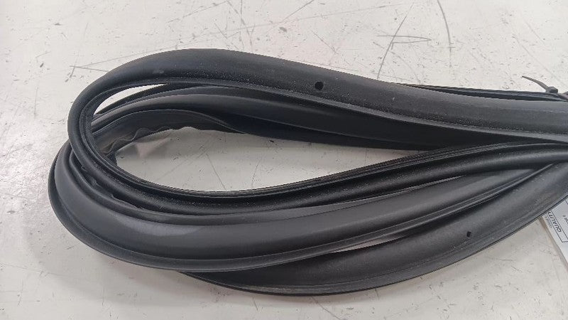 Chevy Volt On Door Seal Rubber Left Driver Front  2011 2012 2013 2014 2015