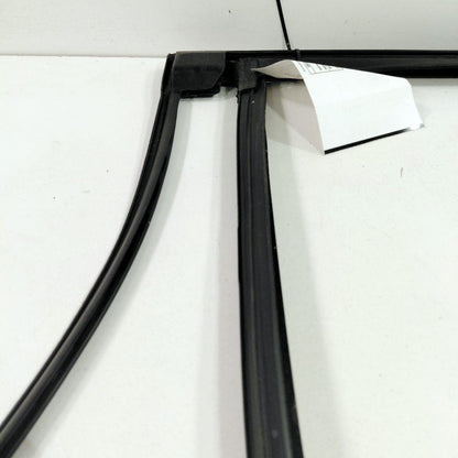 Ford Edge Door Glass Window Seal Rubber Right Passenger Rear Back 2019