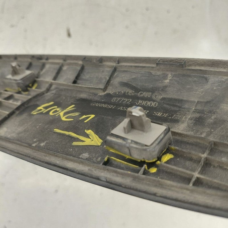 Hyundai Kona Door Molding Trim Strip Right Passenger Side Front  2021 