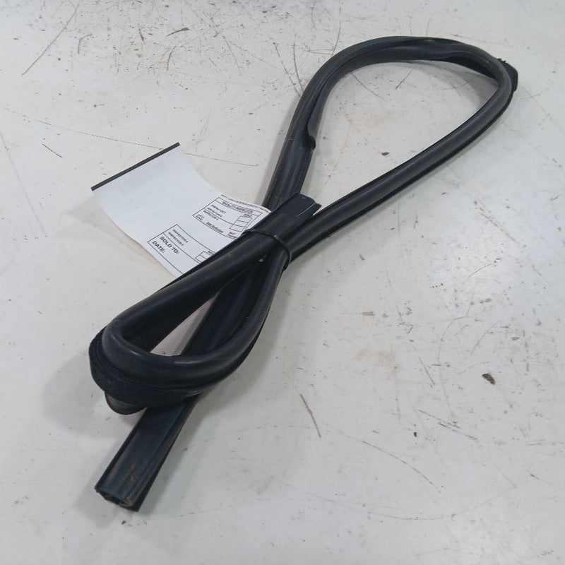 Ford Ecosport Door Glass Window Seal Rubber Right Passenger Rear Back 