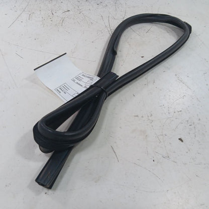 Ford Ecosport Door Glass Window Seal Rubber Right Passenger Rear Back 