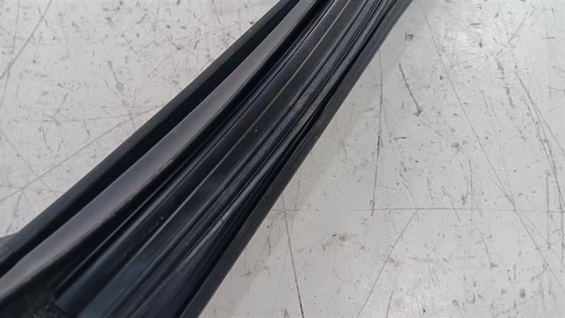 Mazda CX-3 Door Glass Window Seal Rubber Right Passenger Front  2019 2