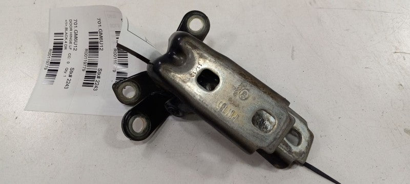 Cadillac CTS Door Hinge Set Left Front Driver 2010 2011 2012 2013 2014
