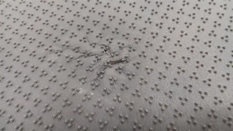 Infiniti G37 G37       2010 Floor Mat 2009 2010 2011 2012 2013 OEM
