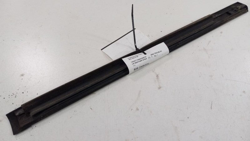 Chevy Trailblazer Door Glass Window Weather Strip Trim Rear Left Back 
