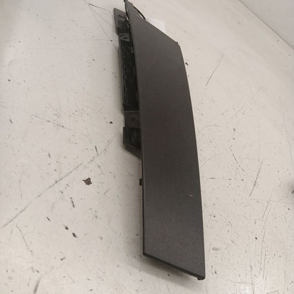 Chevy Volt Passenger Right Front Door Applique {23323964} 2019 2018 20