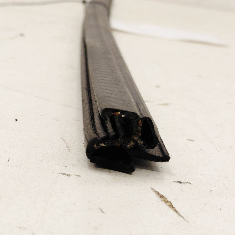 Cadillac XTS Left Front Weather Strip Interior      2016 2017 2018