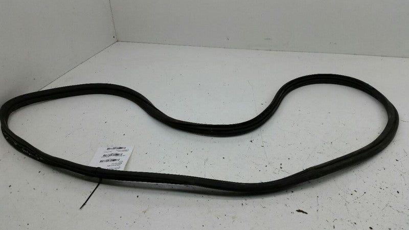 2003 Nissan Maxima On Body Door Jamb Seal Gasket Rear Left Back OEM 2002