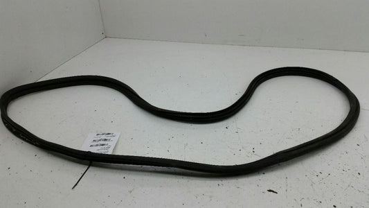 2003 Nissan Maxima On Body Door Jamb Seal Gasket Rear Left Back OEM 2002
