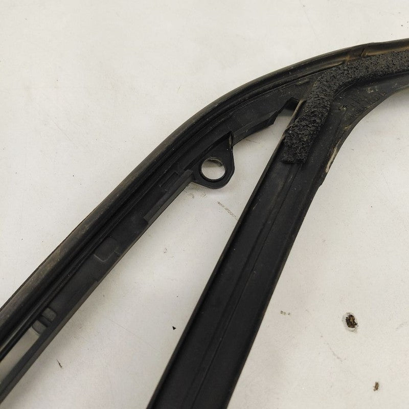Chevy Trailblazer Door Glass Window Seal Rubber Left Driver Rear Back 