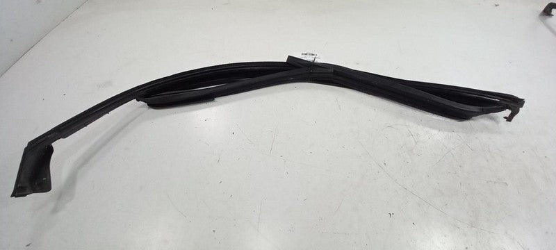 Dodge Dart Door Glass Window Seal Rubber Left Driver Front 2013 2014 2015 2016