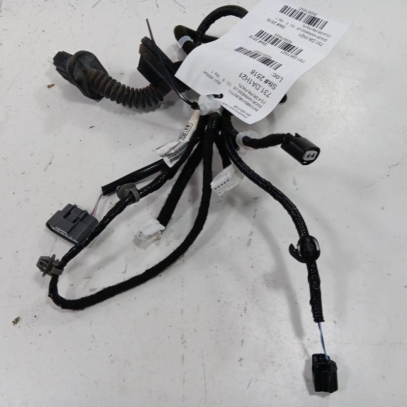 Nissan Versa Door Harness Wire Wiring Left Rear  2023 2022 2021 2020 O