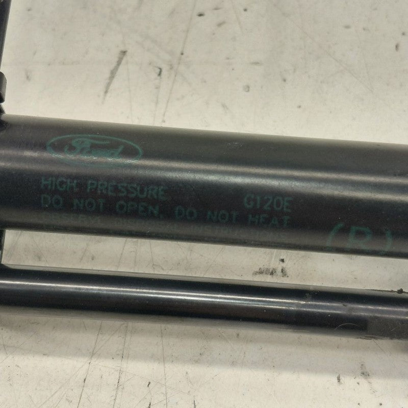 Ford Escape Hatchback Hatch Back Trunk Lid Shock Strut Support  2020 2