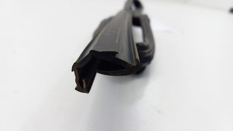 Hyundai Elantra Door Glass Window Seal Rubber Right Passenger Rear Back 2009 201