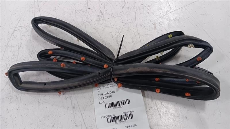 Dodge Dart On Door Seal Rubber Left Rear Back  2013 2014 2015 2016