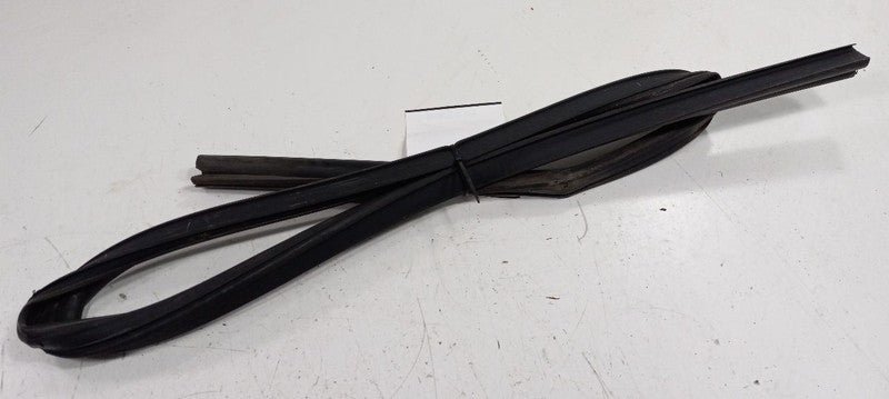 Dodge Journey Door Glass Window Seal Rubber Left Rear Back 2016 2015 2