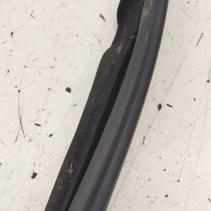 Volvo S60 Door Glass Window Seal Rubber Right Passenger Front  2018 20