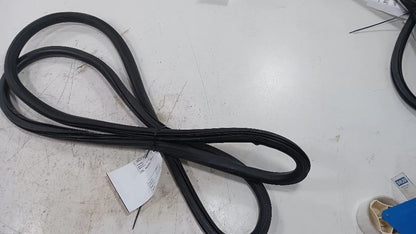 Buick Encore On Body Door Jamb Seal Gasket Front Left Driver  2013 2014 2015 201