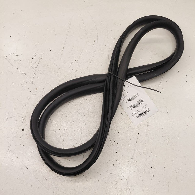 Volvo S60 On Body Door Jamb Seal Rear Left Driver Back  2018 2017 2016