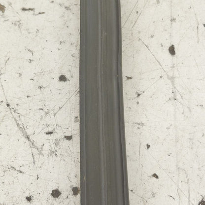 Ford Edge Door Glass Window Seal Rubber Right Passenger Front  2019 20