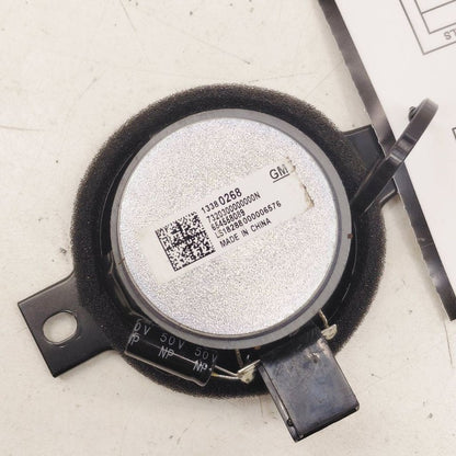 Chevy Volt Dash Speaker Right Passenger Side  2019 2018 2017 2016 OEM