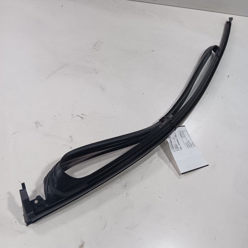 Chevy Malibu Door Glass Window Seal Rubber Right Passenger Front 2019 
