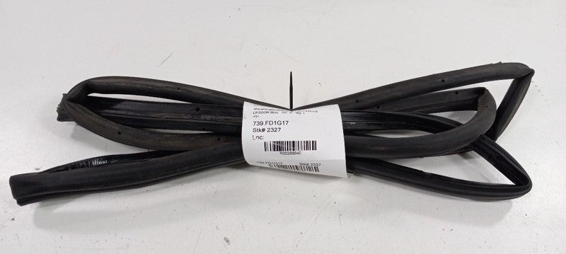 Ford Focus On Door Seal Rubber Left Rear Back 2018 2017 2016 2015 OEM