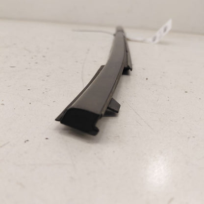 Honda Clarity Door Glass Window Weather Strip Rear Right Passenger Sid