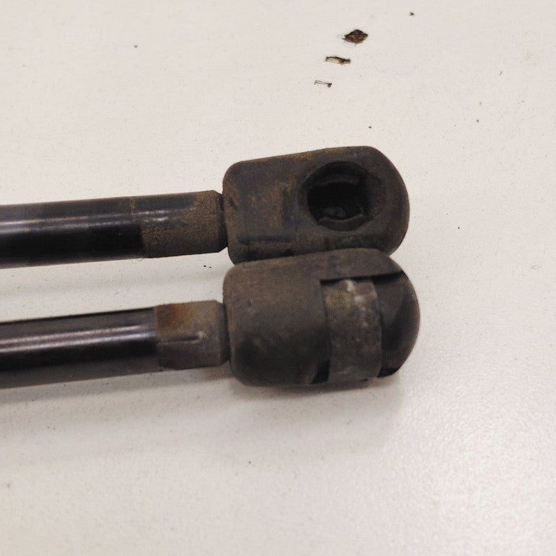 Ford Escape Hatchback Hatch Back Trunk Lid Shock Strut Support  2022 2