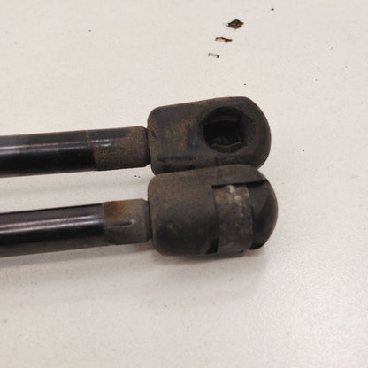 Ford Escape Hatchback Hatch Back Trunk Lid Shock Strut Support  2022 2