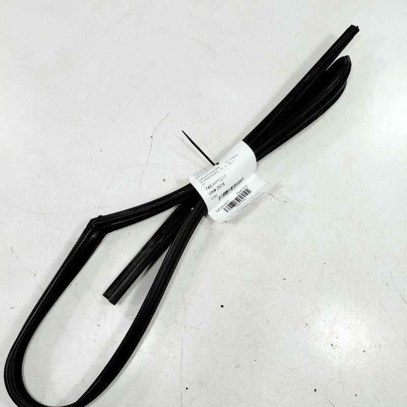 Hyundai Sonata Door Glass Window Seal Rubber Right Passenger Front  20