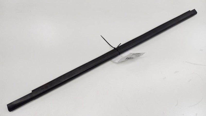 Dodge Journey Door Glass Window Weather Strip Trim Front Left Driver Side 2010