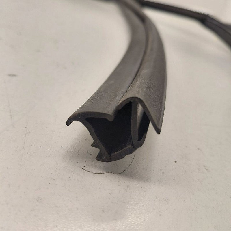 Chevy Volt Door Glass Window Seal Rubber Right Passenger Front  2016 2