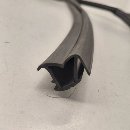 Chevy Volt Door Glass Window Seal Rubber Right Passenger Front  2016 2