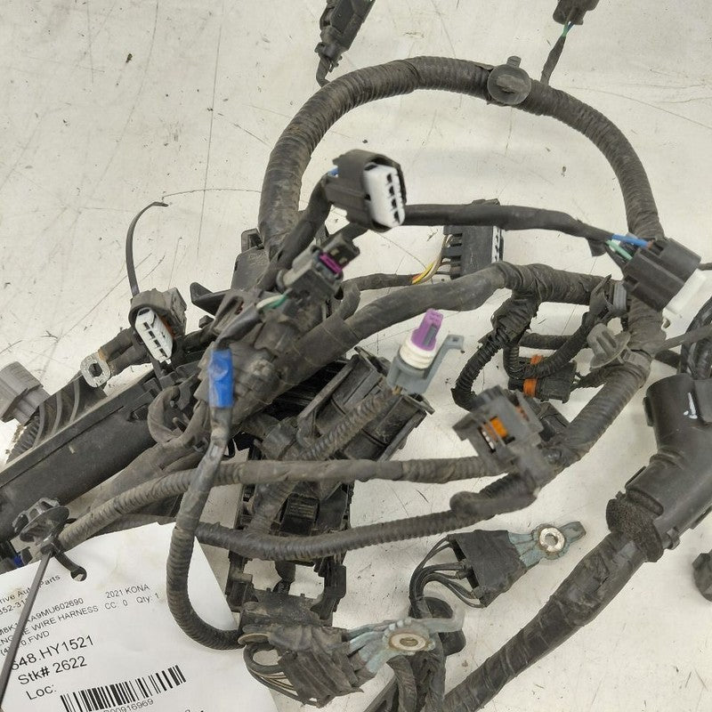 Hyundai Kona Engine Wire Wiring Harness  2.0 2021 2020 2019