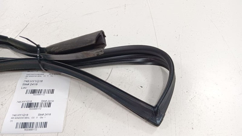 Hyundai Sonata Door Glass Window Seal Rubber Right Passenger Rear Back