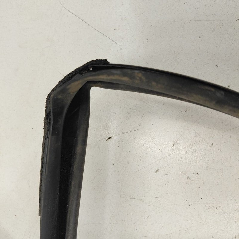 Honda CR-V Door Glass Window Seal Rubber Right Passenger Front  2019 2