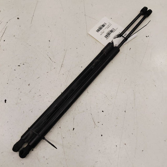 Ford Escape Hatchback Hatch Back Trunk Lid Shock Strut Support  2022 2