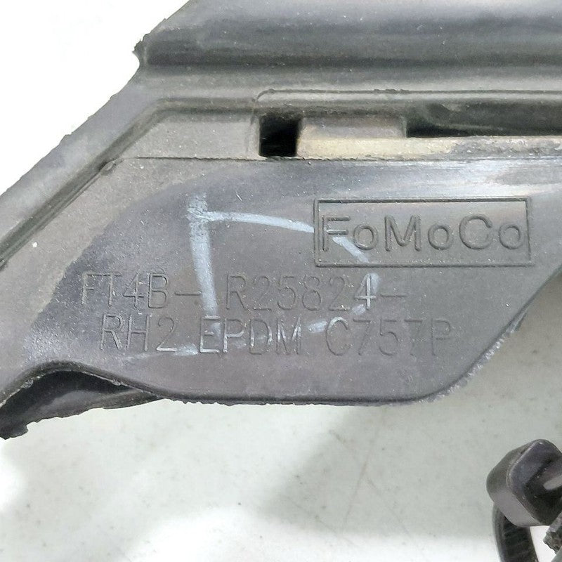 Ford Edge Door Glass Window Seal Rubber Right Passenger Rear Back 2019