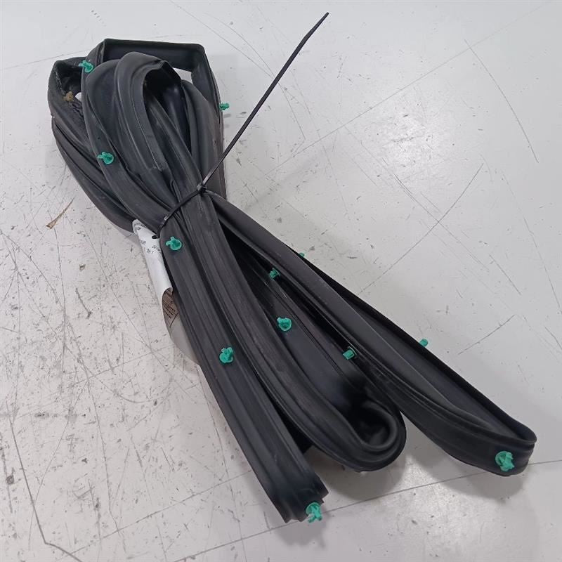 Buick Encore On Door Seal Rubber Left Rear Back  2018 2019 2020 OEM