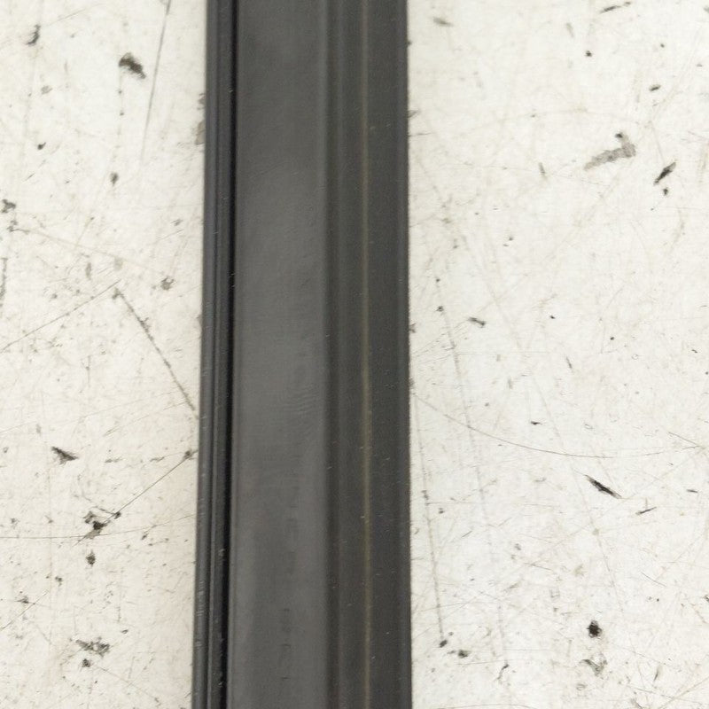 Cadillac CT6 Left Front Weather Strip Interior  2018 2017 2016