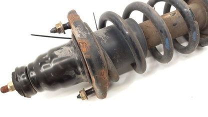 Passenger Right Rear Back Strut DOHC Fits 02-05 Honda Civic