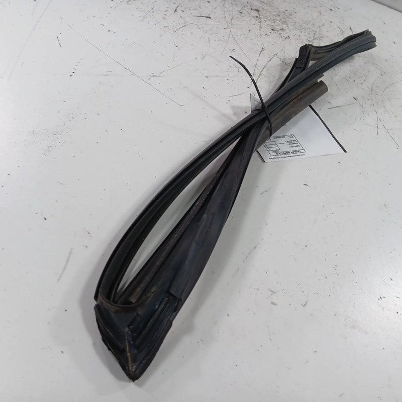 Hyundai Elantra Door Glass Window Seal Rubber Left Driver Front  2017 