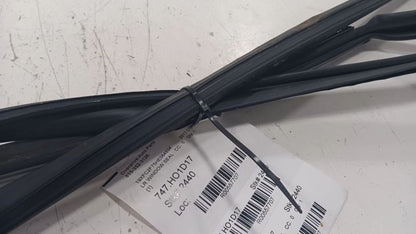 Honda Civic Door Glass Window Seal Rubber Left Rear Back  2016 2017 2018 
