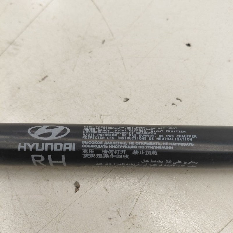 Hyundai Veloster Hood Strut Shock Support  2017 2016 2015 2014