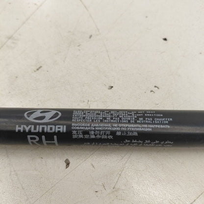 Hyundai Veloster Hood Strut Shock Support  2017 2016 2015 2014