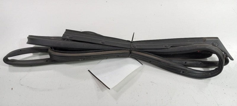 Dodge Journey On Door Seal Rubber Right Passenger Rear Back 2009 2010 