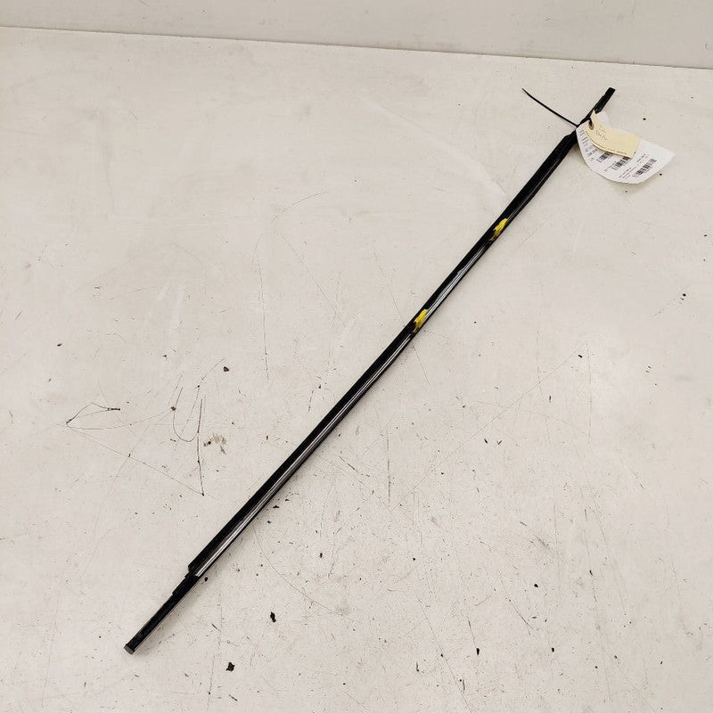 Honda CR-V Door Glass Window Weather Strip Trim Front Left Driver 2017