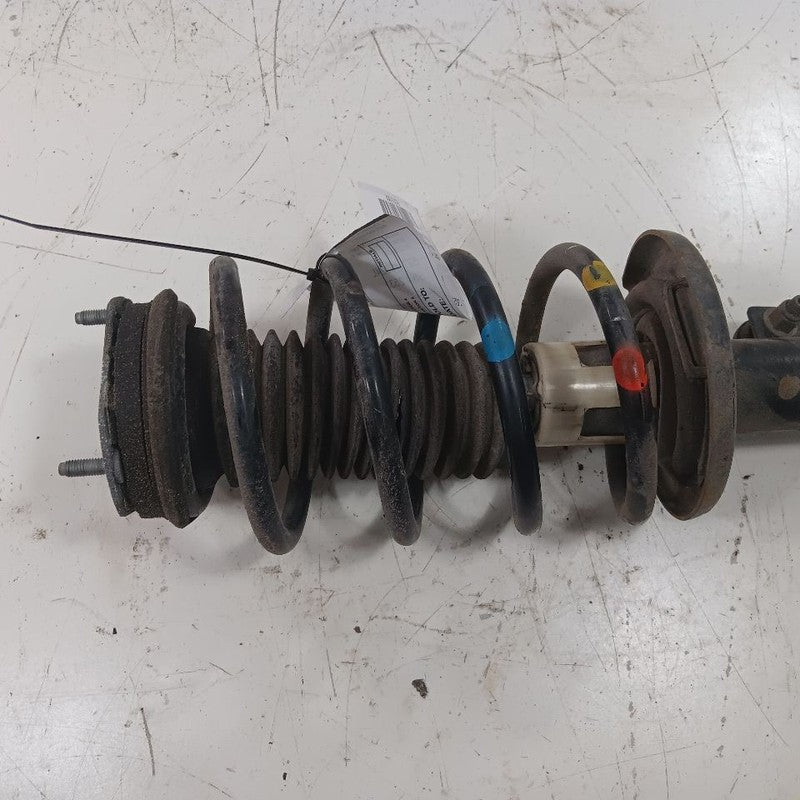 Driver Left Strut Fits 18-22 Ford Ecosport OEM